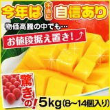 【直】台湾産 アップルマンゴー 5kg 1箱