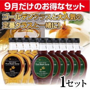 ゴールデン＆ベリーダーク12本セット