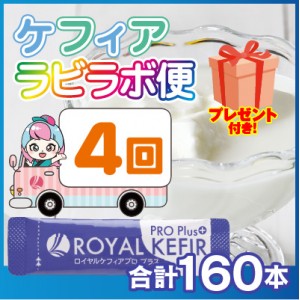 ケフィア ラビラボ便 ロイヤルケフィアプロプラス4回お届け160本セット