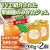 【全国編】みかんジャム 260ｇ　2個